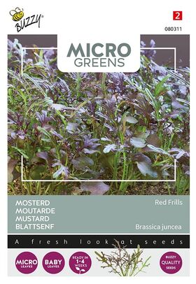 Microgreens Mustard Red Frills