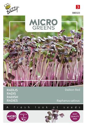 Microgreens Radish Red Daikon