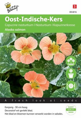 Nasturtium Flower Seeds Alaska Salmon