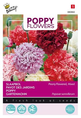 Poppy Paeony Flowered