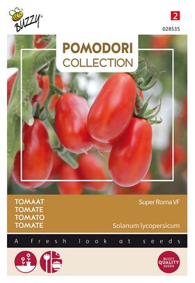 Pomodori Tomato Super Roma VF