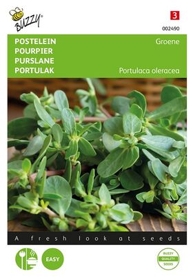 Purslane Normal Green