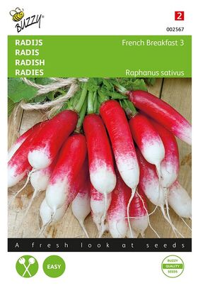 Radish French Breakfast