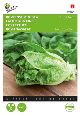 Cos Lettuce Little Gem