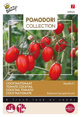 Pomodori cocktail tomato Ravello F1