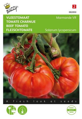 Tomato Marmande