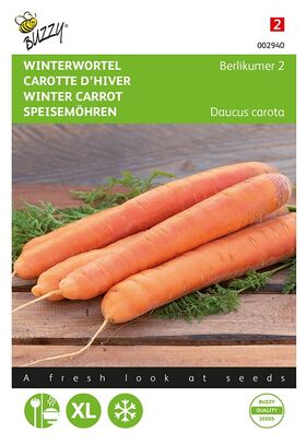 Winter Carrot Berlikum