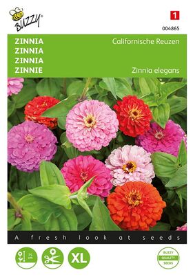 Zinnia Californian Giants