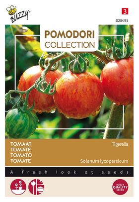 Pomodori Tomato Tigerella