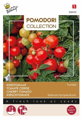 Cherry Tomato Seeds Tomfall