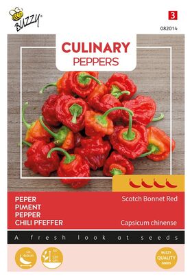 Pepper Seeds 'Scotch Bonnet Red'