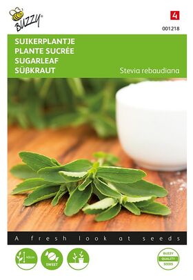 Stevia Rebaundiana / Sugar Leaf