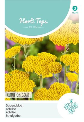 Achillea Cloth of Gold