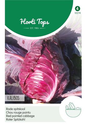 Red Pointed Cabbage