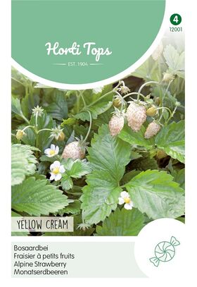 Yellow Cream (white wild strawberry)