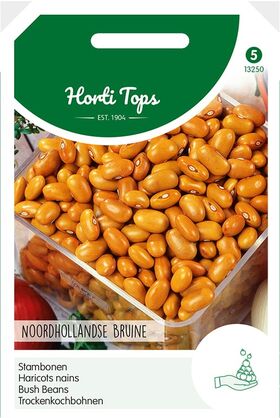 Bush beans Noordhollandse Brown