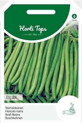 Dwarf Beans Kylian (low)