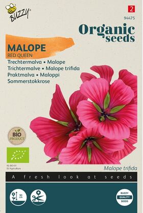 Biologische Trechtermalva Zaden 'Red Queen'