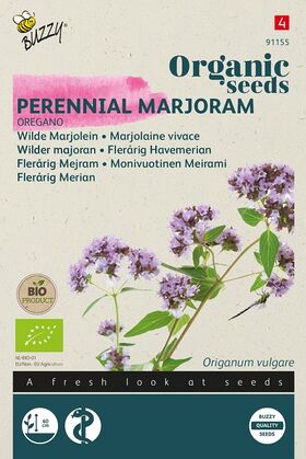 Organic Perennial Marjoram - Oregano