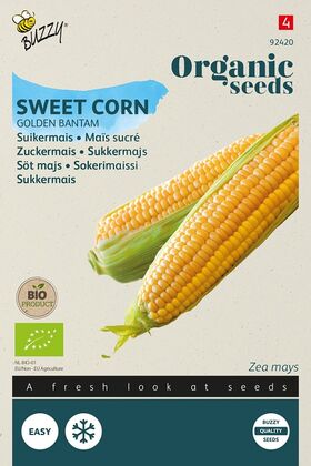 Organic Sweet corn Golden Bantam