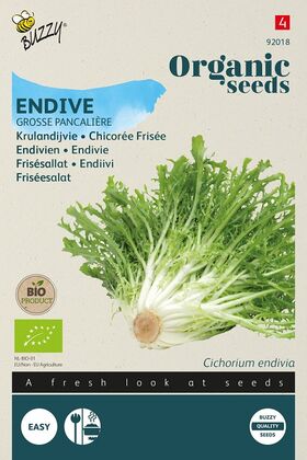 Organic Endive