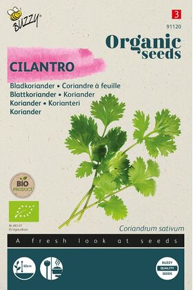 Organic Cilantro