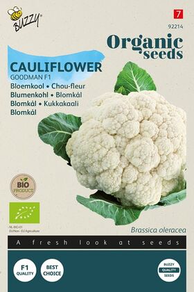 Organic Cauliflower Goodman F1