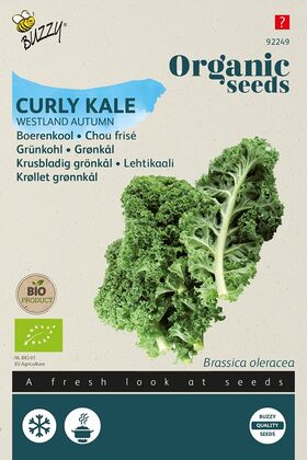 Organic Curly Kale Westlandse