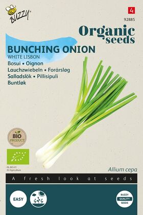 Organic Bunching Onion