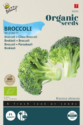 Organic Broccoli Belstar F1