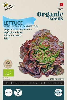 Organic Lettuce Wonder of 4 Seasons