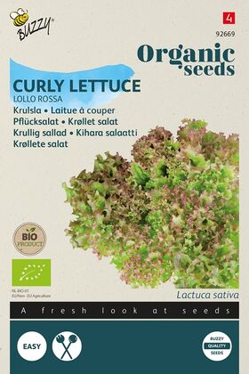 Organic Curly Lettuce Lollo Rossa