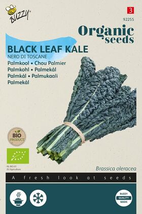 Organic Black Leaf Kale 'Nero di Toscana'  Buzzy