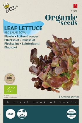 Organic Leaf Lettuce Red Salad Bowl