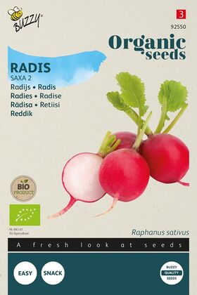 BIO / Organic Radish Saxa 2