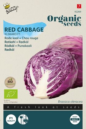 Organic Red Cabbage Klimaro F1
