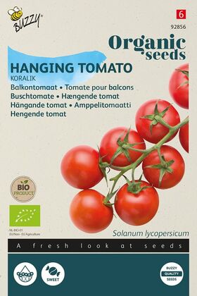 Organic hanging tomato Koralik
