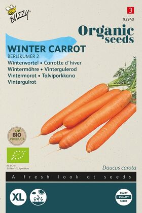 Organic Winter Carrots Berlikum 2