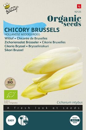 Organic Chicory Witloof