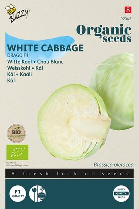 Organic White Cabbage Drago F1