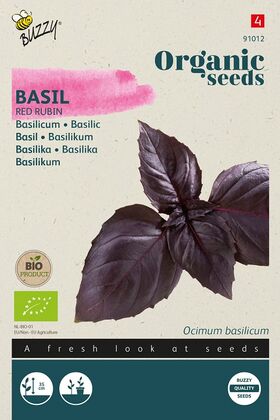 Organic Basil Red Rubin