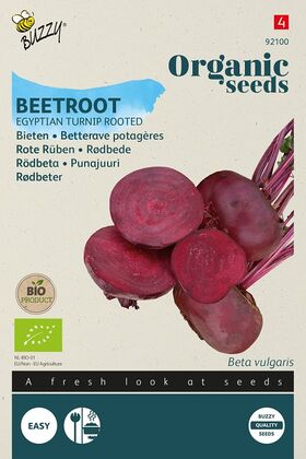 Organic Beetroot Egyptian flat round