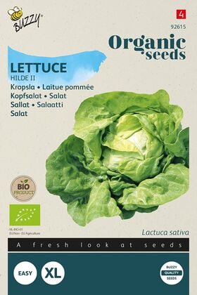 Organic Lettuce Hilde ll
