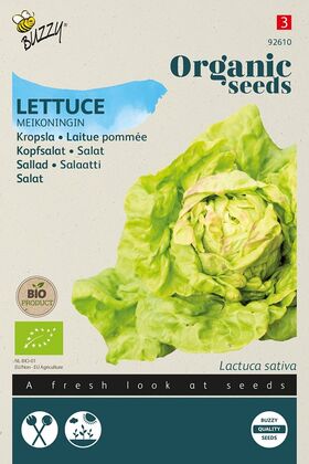 Organic Lettuce May Queen