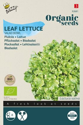 Organic Lettuce Bowl