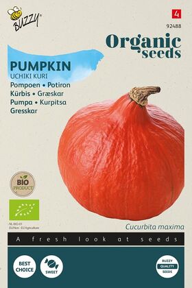 BIO / Organic Pumpkin Uchiki Kuri