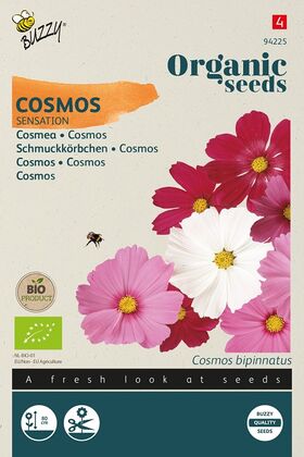 Biologische Cosmea Zaden 'Sensation'