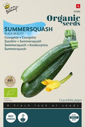 Organic Summer squash Black Beauty