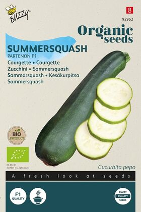 Organic Summer Squash partenon F1 hybrid