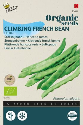 Organic Climbing French Beans Helda